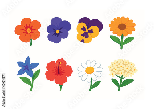 Isometric flat vector set of icons of edible flowers: nasturtium, violet, pansy, calendula, borage, hibiscus, chamomile, elderflower. isolated transparent background.