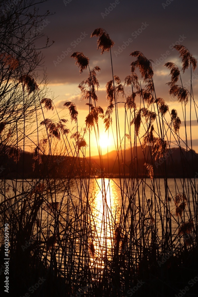 Obraz premium Sunset in a Nature reserve