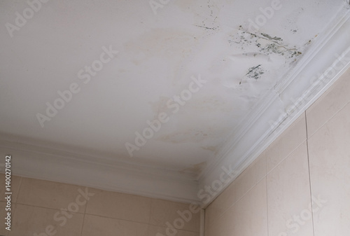 Serious mildew and mold problem on ceiling. Mold removal service. Affected roof from rain.