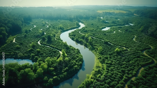 Obraz na płótnie Serene River Meanders in Lush Green Landscape w salonie