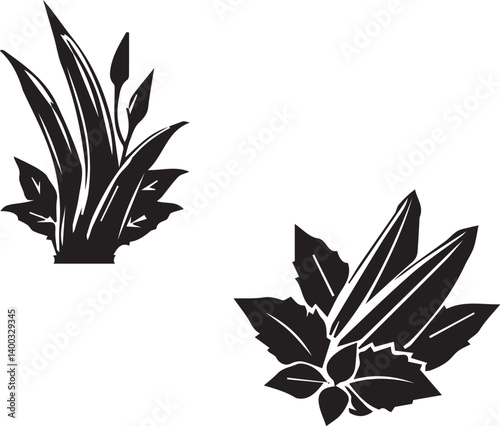 SILHOUETTE OF LADY FINGER