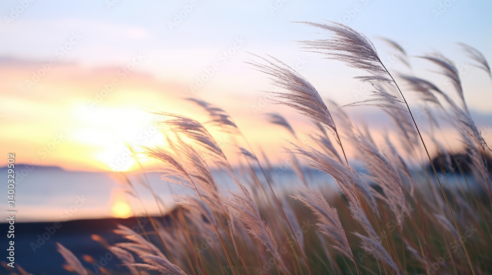 Whispering Grasses at Sunset