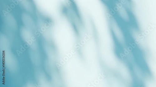 Abstract silhouette shadows of natural leaves tree branch falling on a light blue wall background. Transparent blurry shadow in morning sunlight with copy space for text,4K
