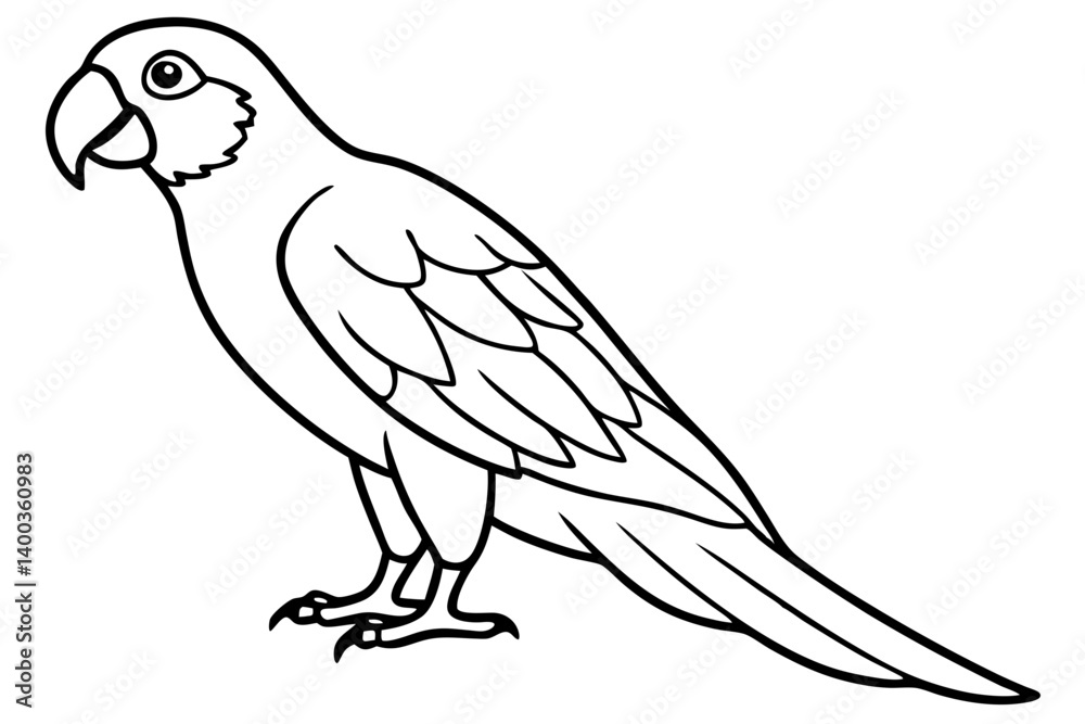 Graceful Macaw Silhouette Graceful Macaw Silhouette