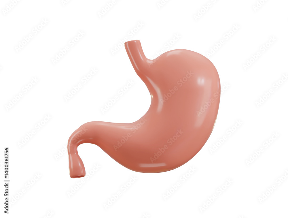 Fototapeta premium Stomach Human Organs icon 3d render concept of healthy human organ vector illustration
