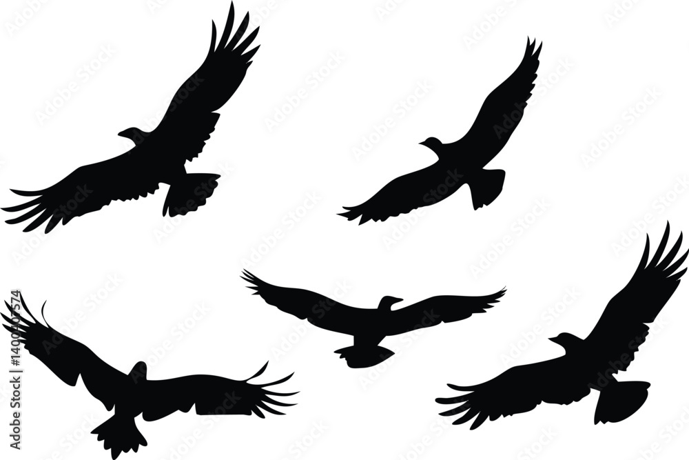 Fototapeta premium Five Eagle Silhouettes Soaring with Transparent Background, Wing Details, Flying Pattern