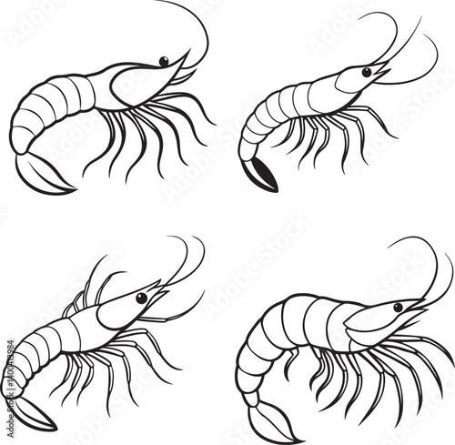 Line art shrimp fish image set