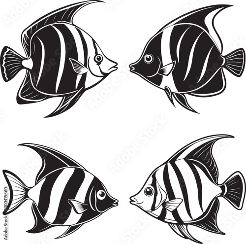 silver, sing danio, spadefish and stinging line art design