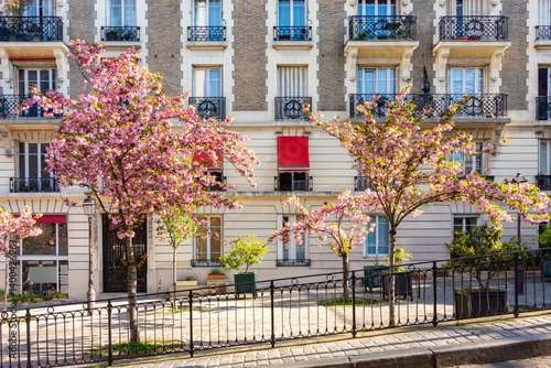 Obraz na płótnie Blooming sakura in spring in Montmartre, Paris, France w salonie