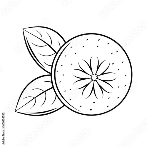 realistic orange with cloves and leaf line art vec.eps