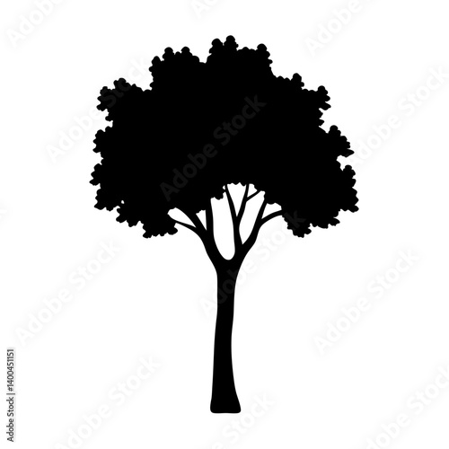 cottonwood tree silhouettes - black cottonwood tree, isolated transparent background