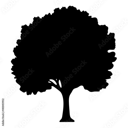 elm tree silhouettes - black elm tree, isolated transparent background