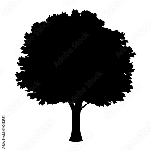 Silhouette of a Large Tree with Dense Foliage on a White Background