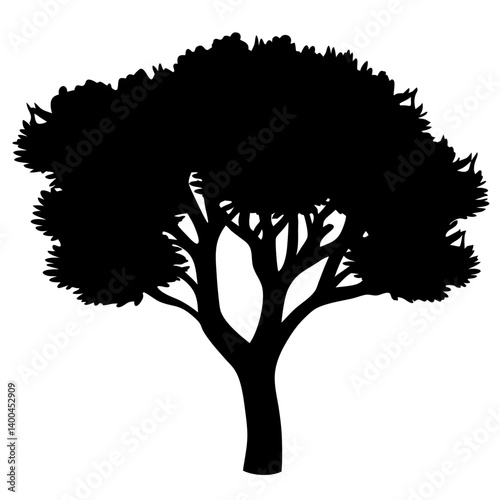 A dense tree silhouette in black and white with broad canopy