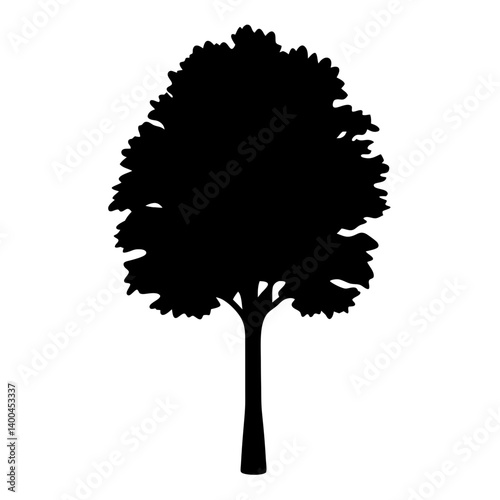Monochrome image of a deciduous tree silhouette against a white background