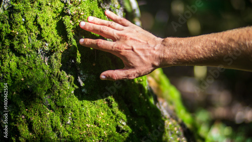 A man's hand touch the tree trunk close-up. Bark wood. Caring for the environment. The ecology concept of saving the world and love nature by human