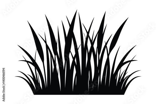 Grass silhouette on white background