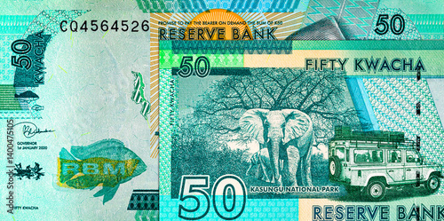 Malawi 50 kwacha banknote, fragment for design. Malawi money.