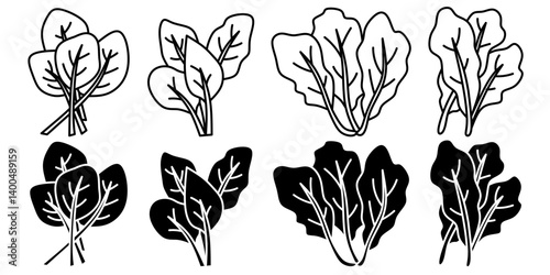 Spinach. Vector collection of spinach icon illustrations. Black icon design.