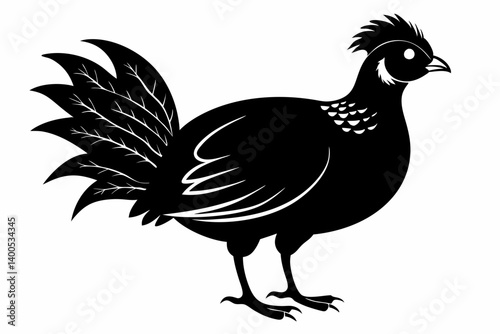 Temminck's tragopan silhouette black vector photo