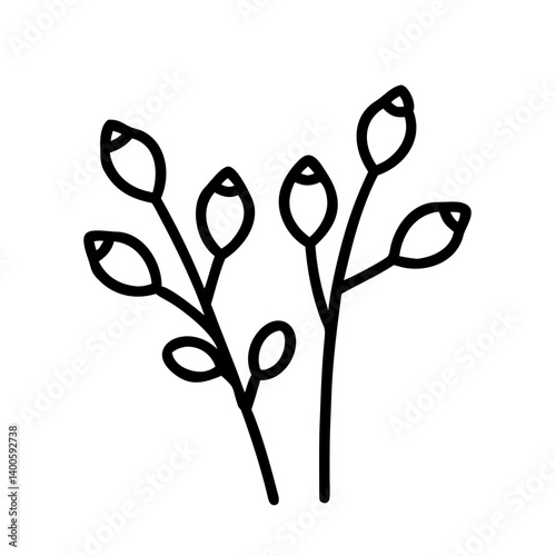 Eucalyptus branch vector illustration, botanical line art drawing, floral design element, plant sprig clip art