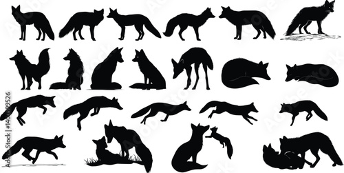 Fox vector Silhouette Collection: A diverse compilation of fox silhouettes, perfect for graphic resources, showcasing their various poses and shapes in a clean, monochrome style.