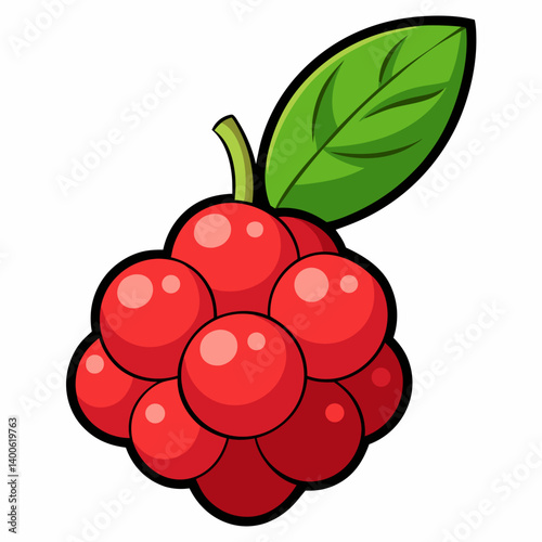 vector illustration of ripe raspberries