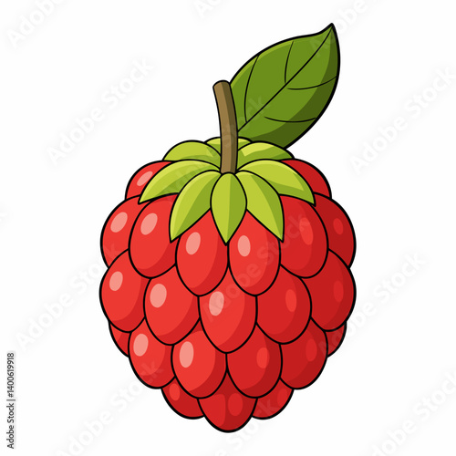 vector illustration of ripe raspberry