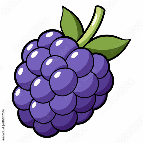 blackberry with leaves