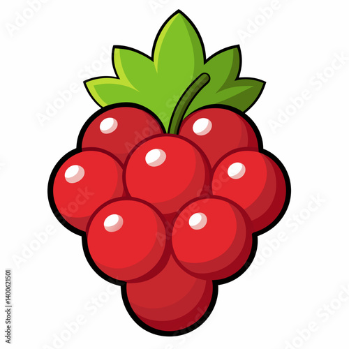 raspberry with leaves