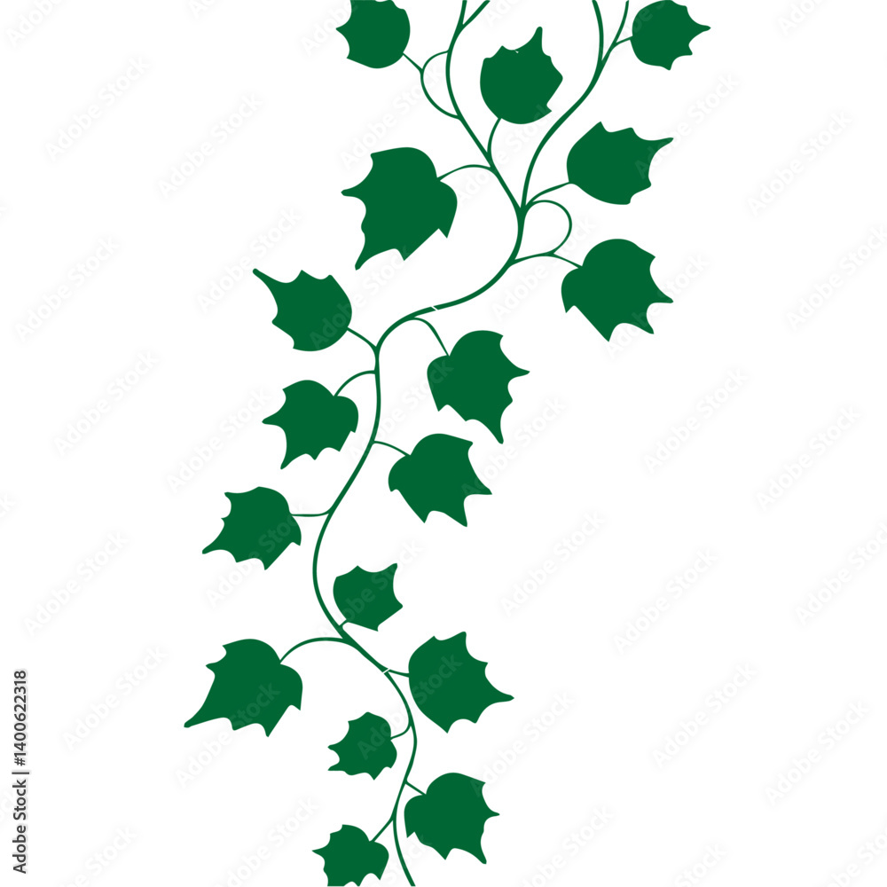 Green ivy branch, vector illustration on a white or transparent background Green ivy branch, vector illustration on a white or transparent background