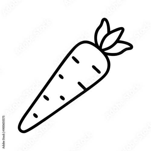 Isolated vector carrot illustration, outline style carrot icon, healthy food and vegetable art