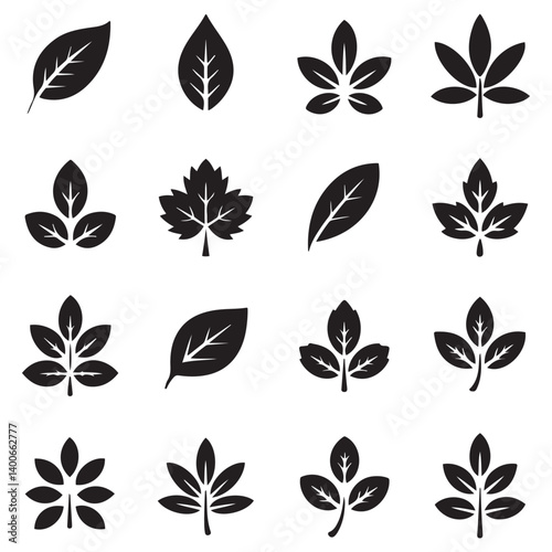 Collection of leaf icons. Vector Black silhouettes. with white background