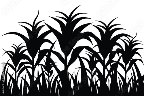 Corn Field Agriculture Silhouette vector illustration on white background