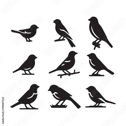 Wallpaper Mural set of birds Torontodigital.ca