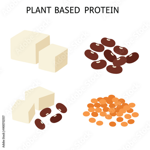 Plant-Based Protein Sources: Tofu, kidney beans and lentils.  A visually appealing illustration showcases plant-based protein sources, including tofu and various beans.