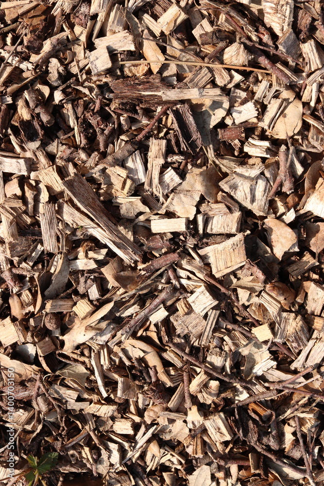 Wood Chips Pile Ground Natural Texture Background Wood Chips Pile Ground Natural Texture Background
