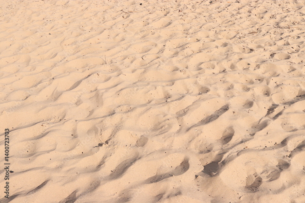 Beach Sand Ripples Natural Texture Background Beach Sand Ripples Natural Texture Background