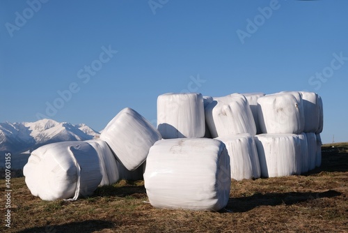 Obraz na płótnie Stack of white plastic bale of hay on field. Blue sky and snowy mounains in background. Pass over Lapszanka, Tatras, Poland w salonie