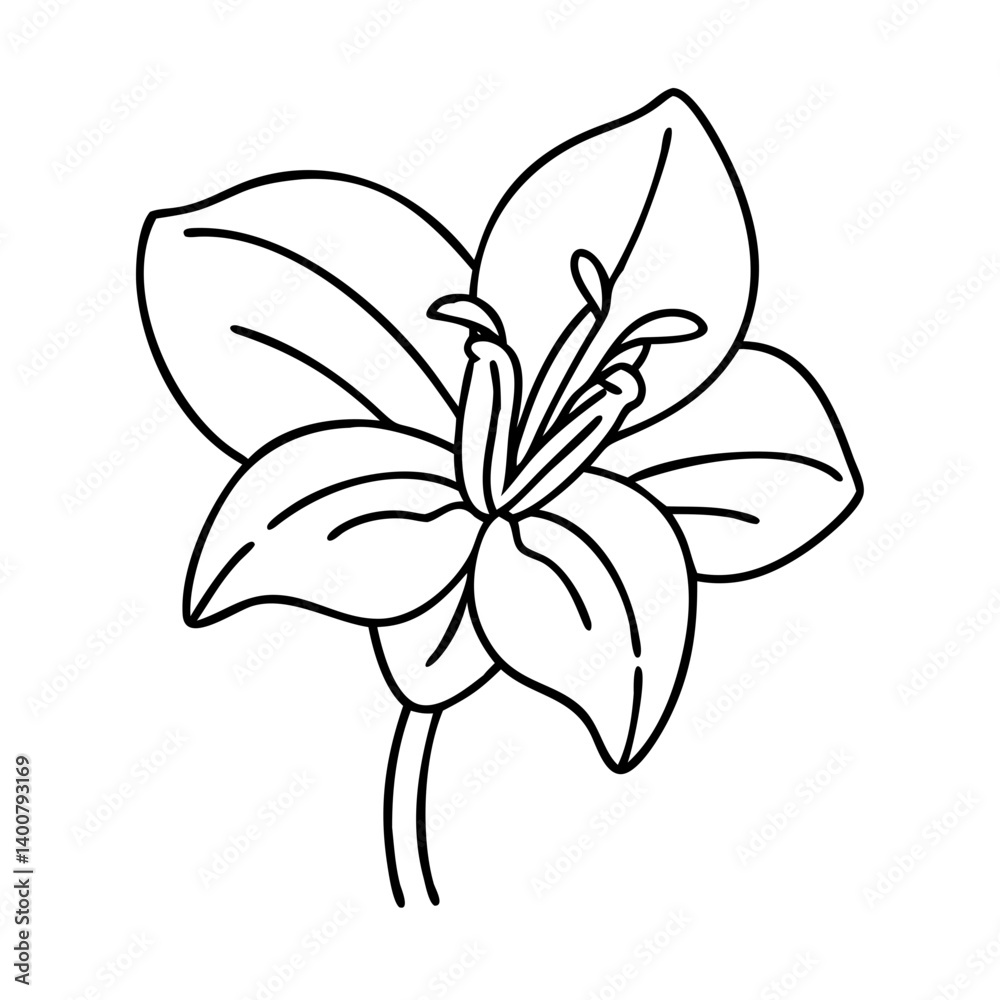 amaryllis flower icon, amaryllis flower vector illustration-simple illustration of amaryllis flower, perfect for amaryllis flower logos and icons amaryllis flower icon, amaryllis flower vector illustration-simple illustration of amaryllis flower, perfect for amaryllis flower logos and icons