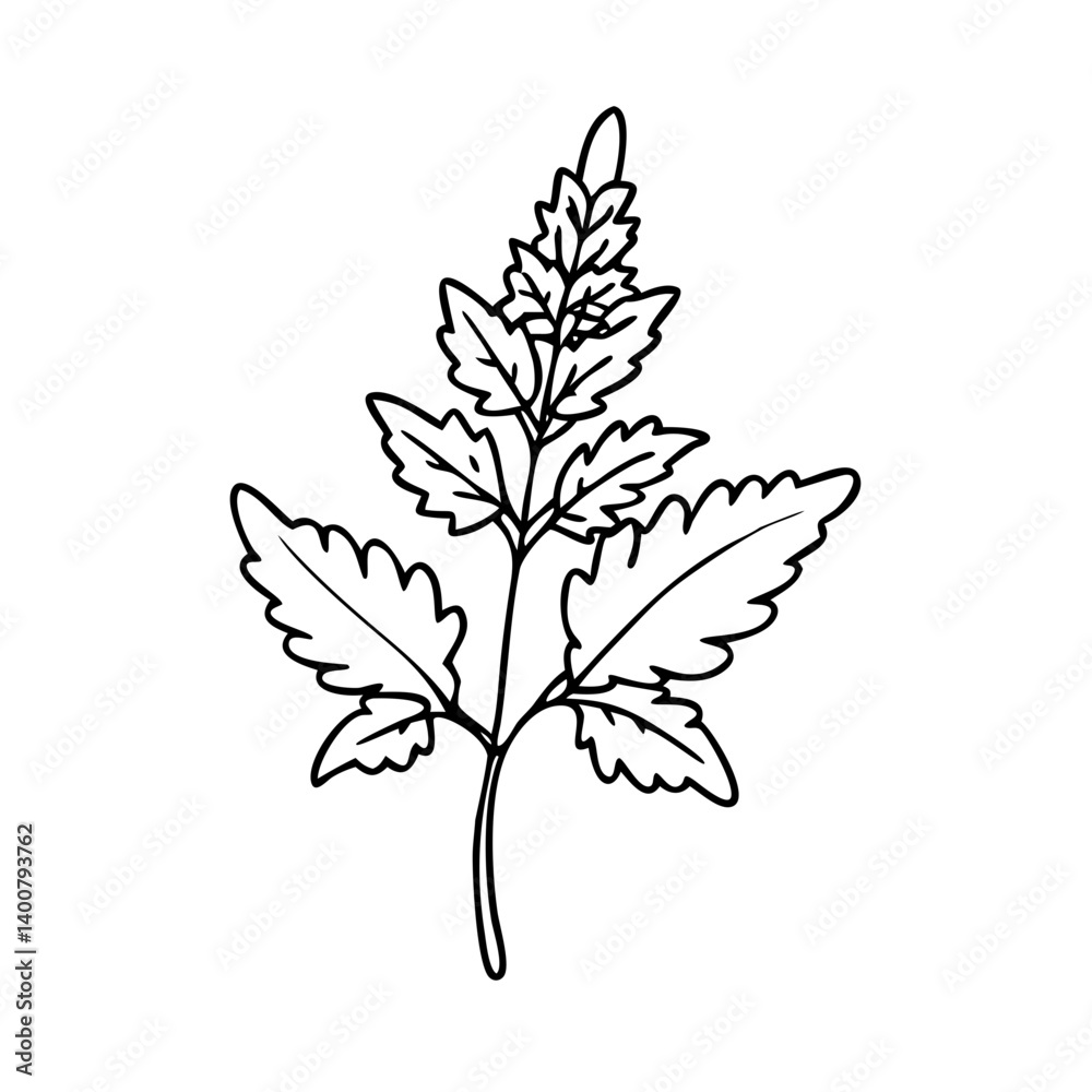 astilbe flower icon, astilbe flower vector illustration-simple illustration of astilbe flower, perfect for astilbe flower logos and icons astilbe flower icon, astilbe flower vector illustration-simple illustration of astilbe flower, perfect for astilbe flower logos and icons