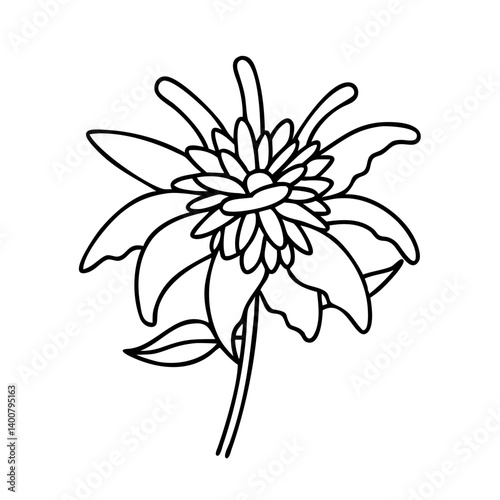 bee balm flower icon, bee balm flower vector illustration-simple illustration of bee balm flower, perfect for bee balm flower logos and icons