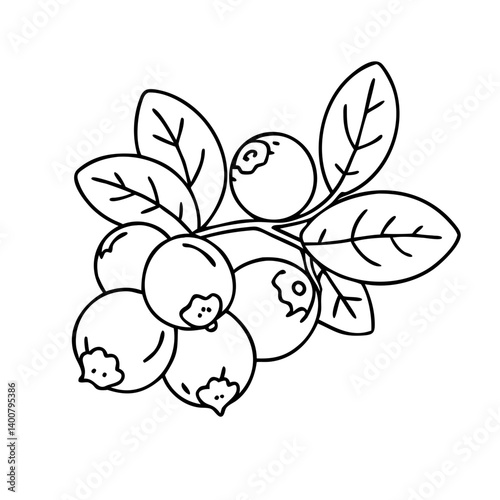 bilberry icon, bilberry vector illustration-simple illustration of bilberry, perfect for bilberry logos and icons
