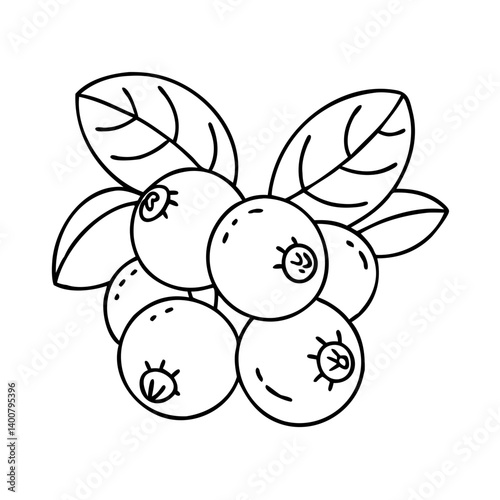 bilberry icon, bilberry vector illustration-simple illustration of bilberry, perfect for bilberry logos and icons