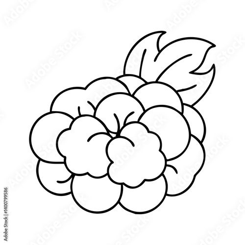 cloudberry fruit icon, cloudberry fruit vector illustration-simple illustration of cloudberry fruit, perfect for cloudberry fruit logos and icons