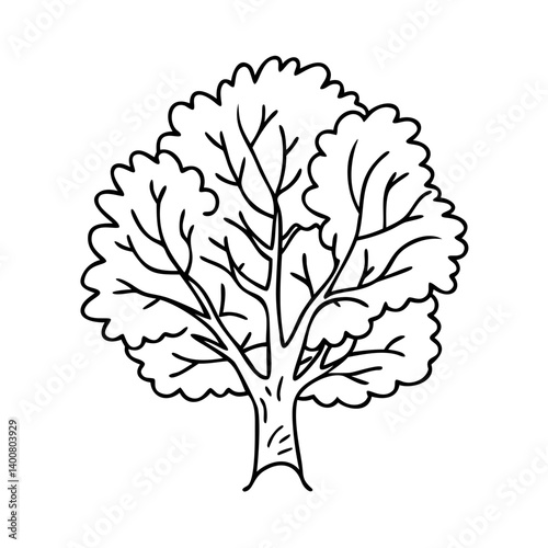 elm tree icon, elm tree vector illustration-simple illustration of elm tree, perfect for elm tree logos and icons