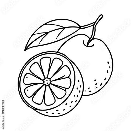 grapefruit icon, grapefruit vector illustration-simple illustration of grapefruit, perfect for grapefruit logos and icons