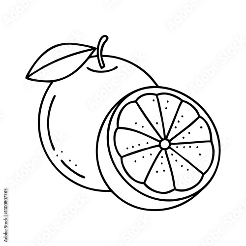 grapefruit icon, grapefruit vector illustration-simple illustration of grapefruit, perfect for grapefruit logos and icons