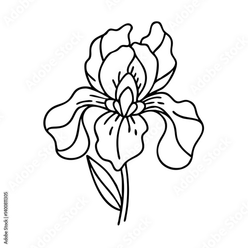 iris flower icon, iris flower vector illustration-simple illustration of iris flower, perfect for iris flower logos and icons