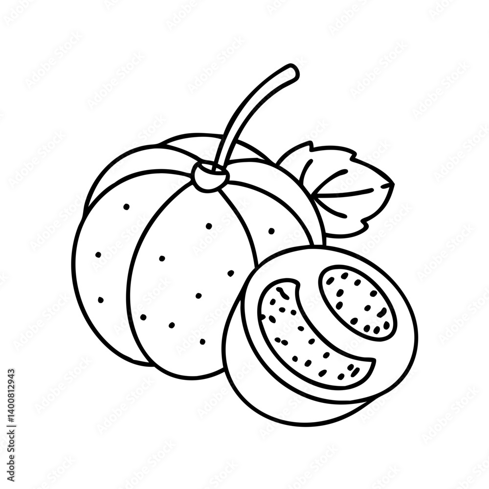 Obraz premium jabuticaba fruit icon, jabuticaba fruit vector illustration-simple illustration of jabuticaba fruit, perfect for jabuticaba fruit logos and icons